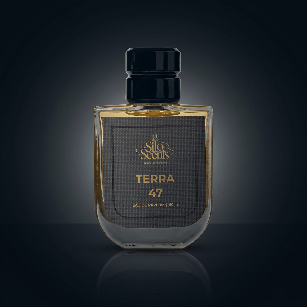 TERRA 47